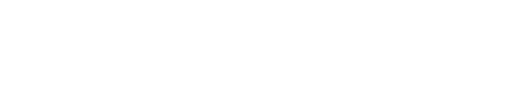 ZeminMimari